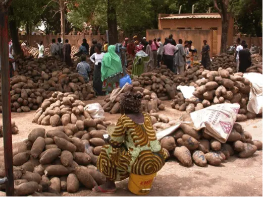 Savalou yam market