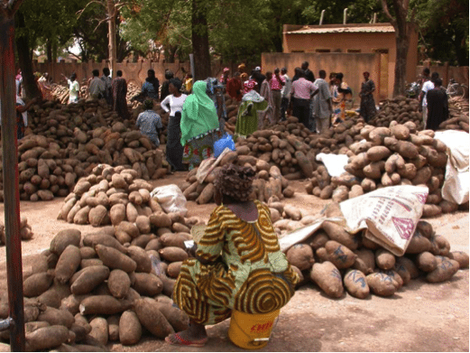 Marché d'igname à Savalou